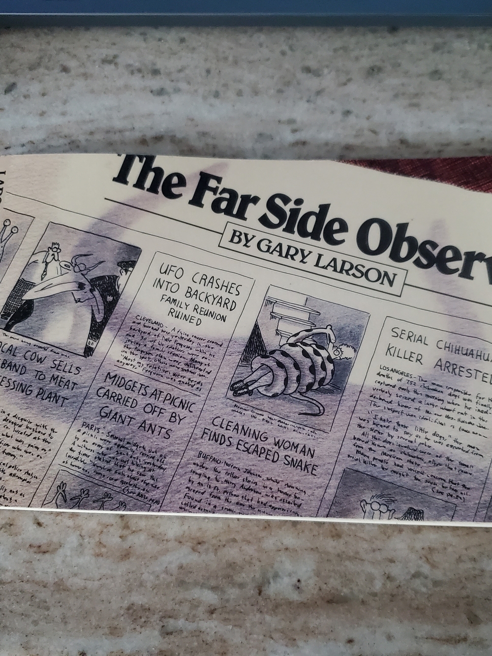 Book - The Far Side Observer by Gary Larson
